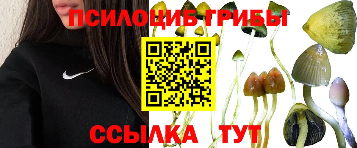 как найти закладки  Галлюциногенные грибы Cubensis  Вход с VPN  Нефтекамск 